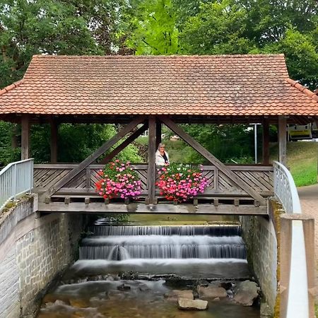 Ferienwohnung Haffner Kandern Buitenkant foto