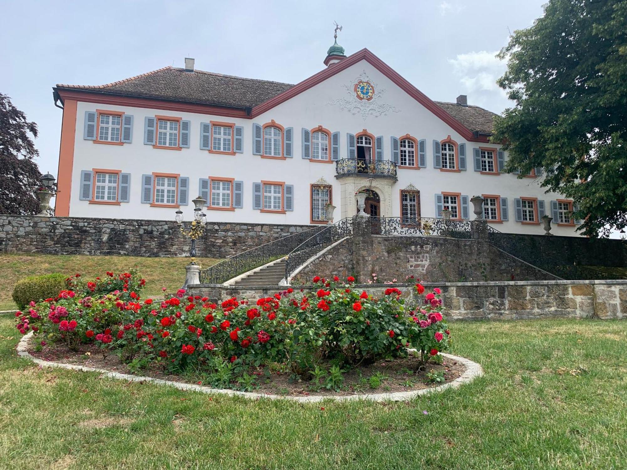 Ferienwohnung Haffner Kandern Buitenkant foto